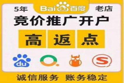 关键词竞价排名实战案例深度解析